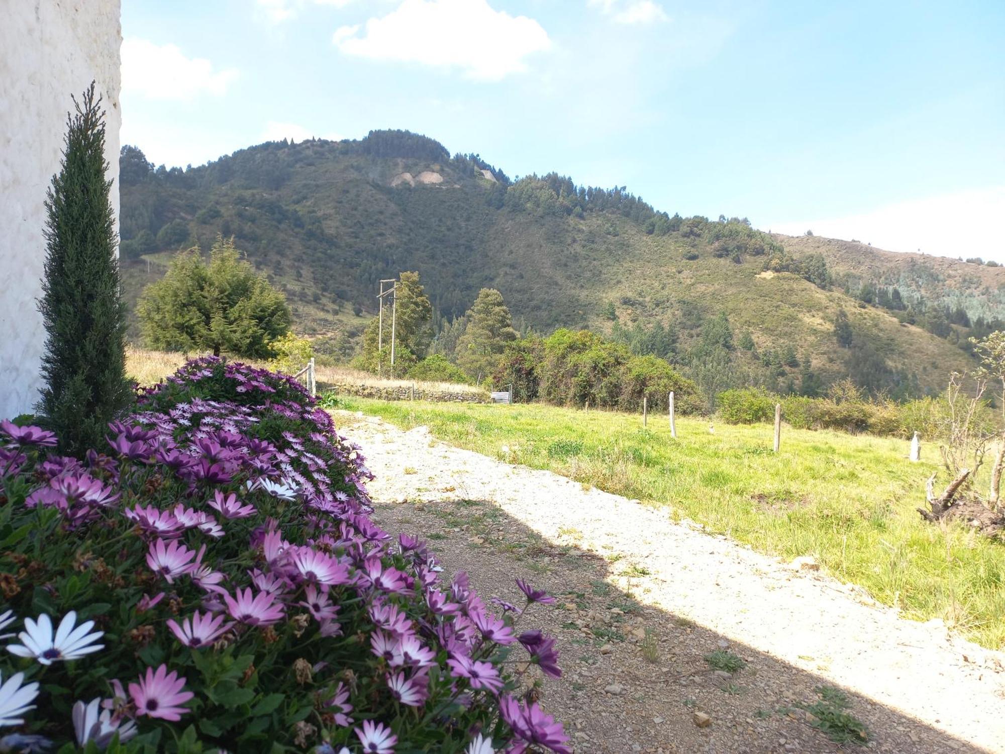 Hospedaje Y Camping Del Rio Monguí Exteriör bild